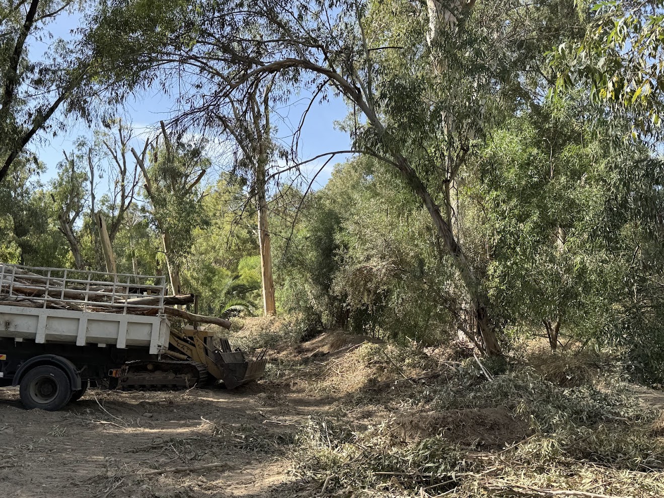 image Akademias park has shrunk even further