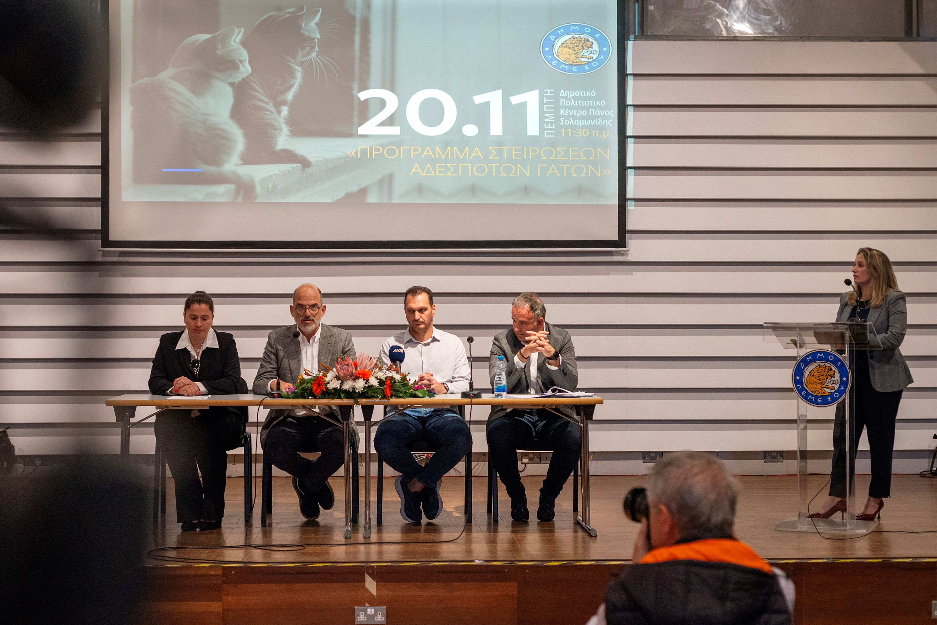 cover Limassol launches major sterilisation drive to tackle stray cat surge