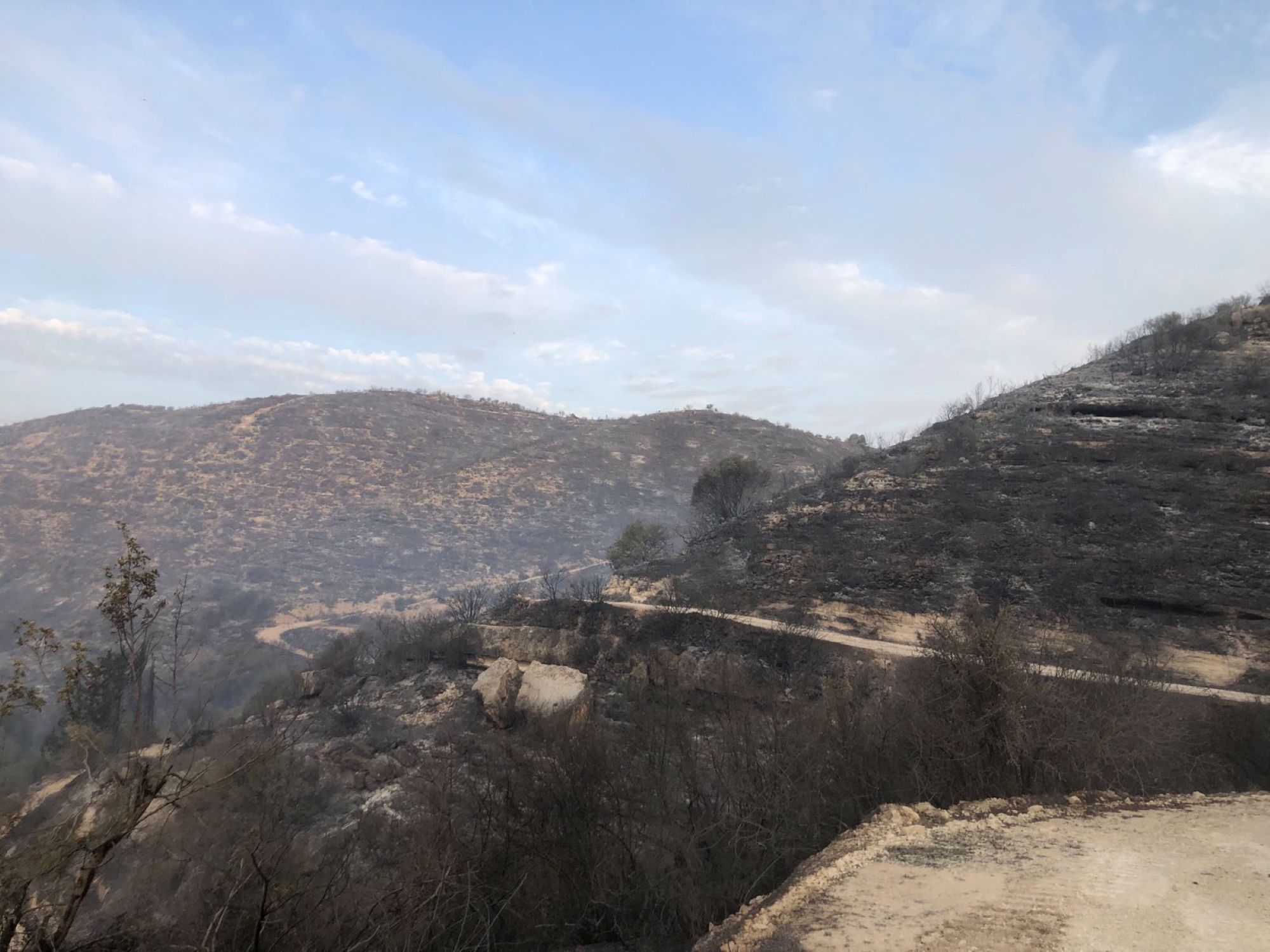 image Paphos wildfire brought under control, watch to be kept overnight