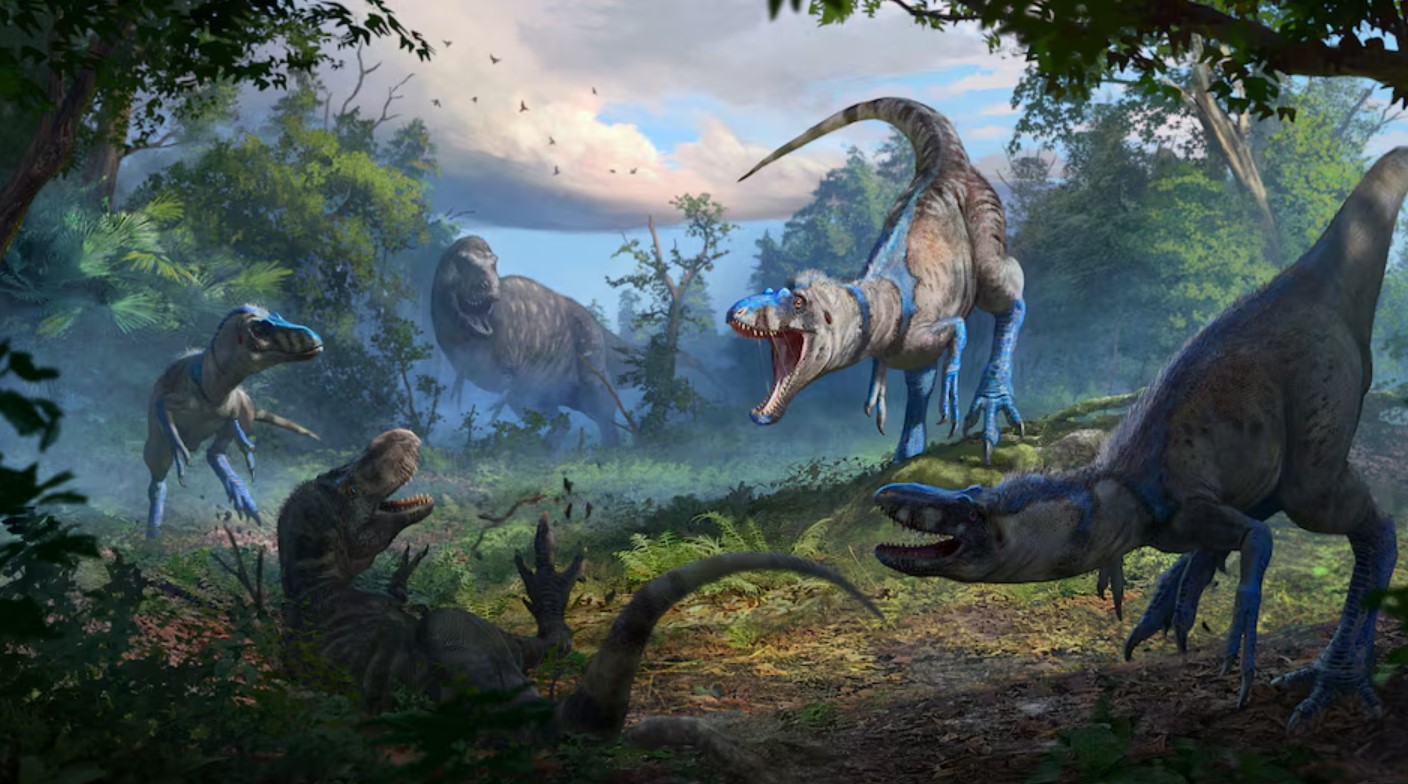 cover Agile and vicious Nanotyrannus was not just a teenage T. rex