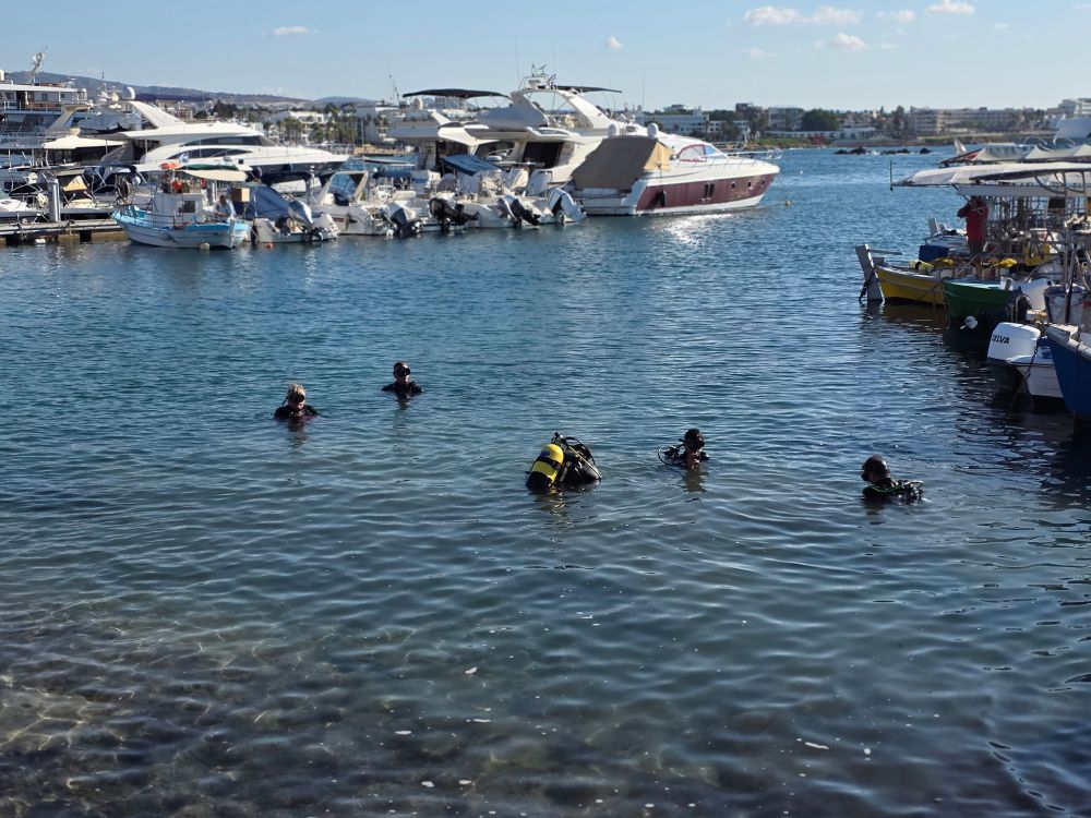 Paphos harbour seabed cleanup draws strong turnout