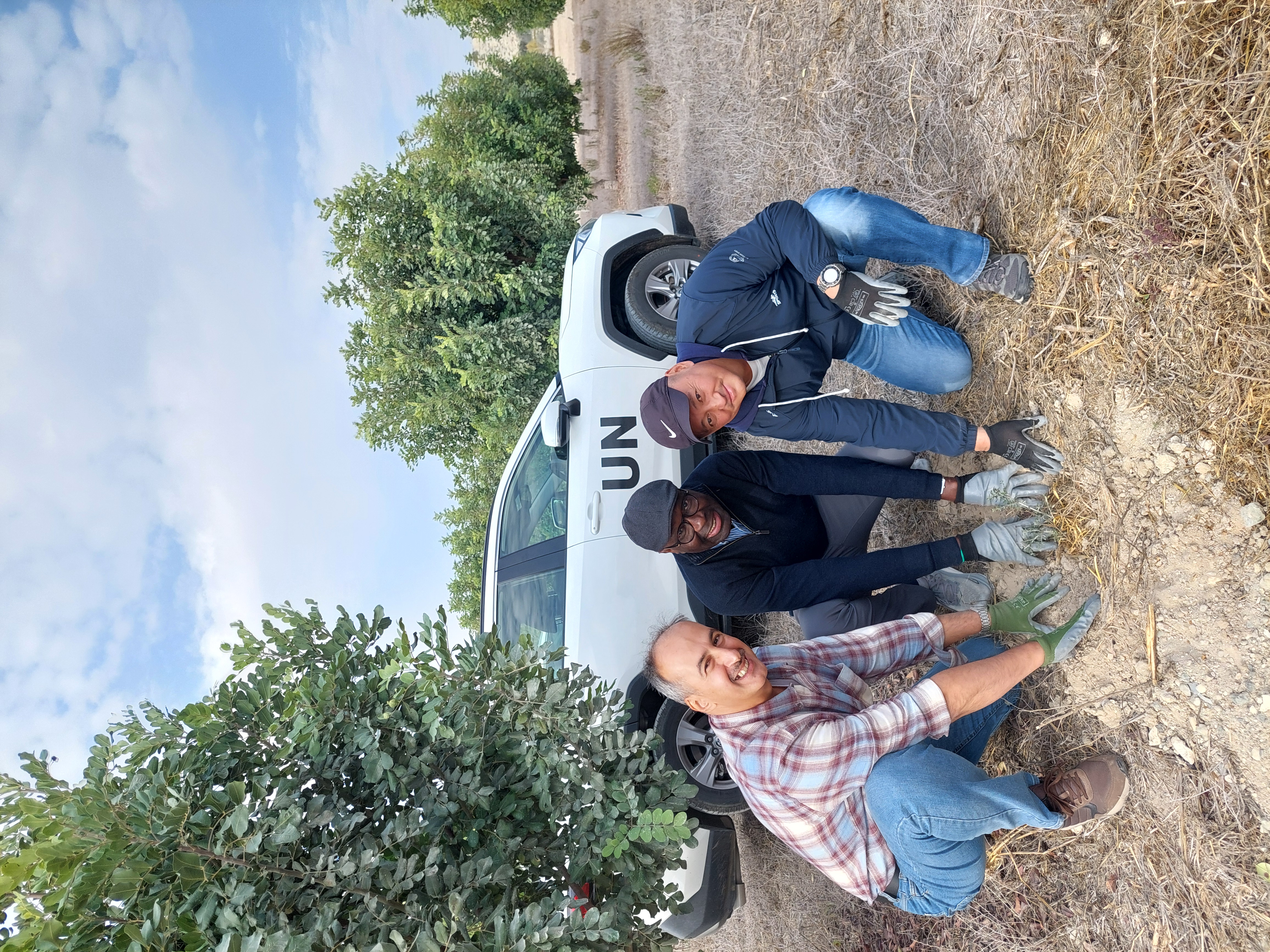 Unficyp, tree planting, environment