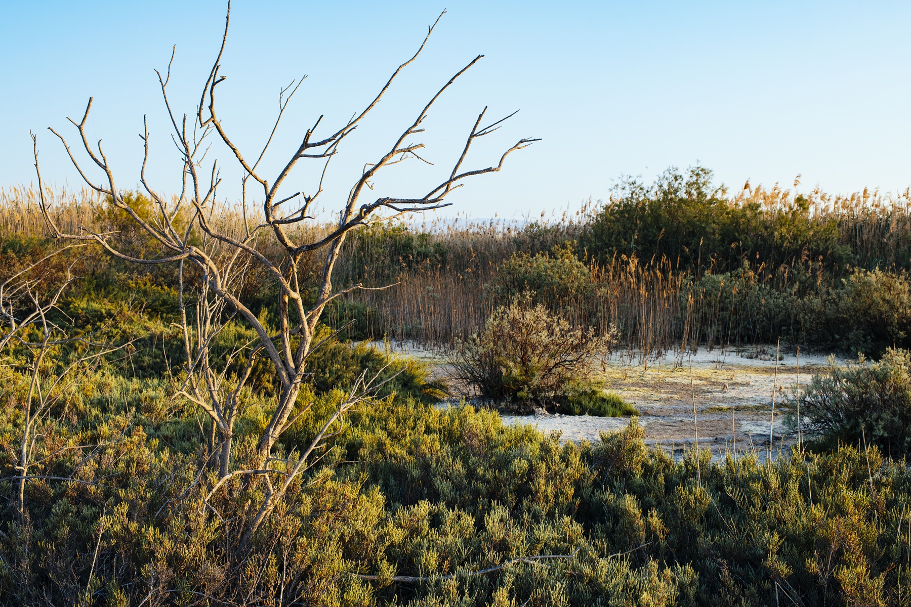 cover Akrotiri wetlands: The cost of neglect