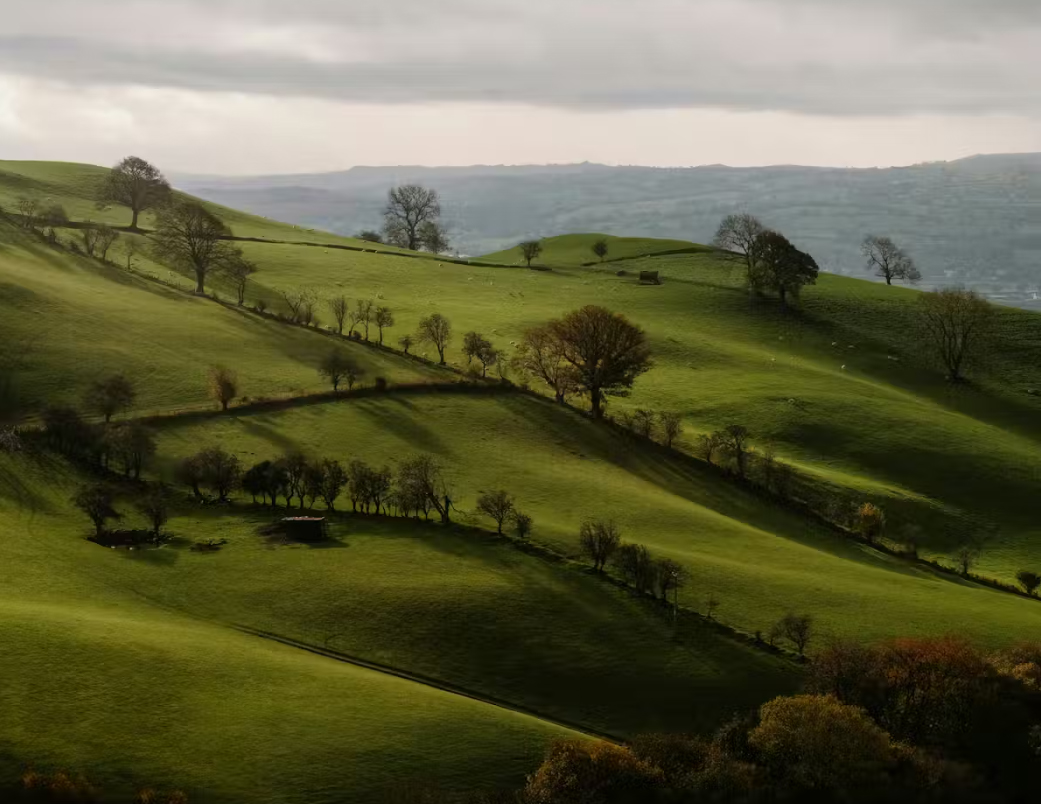 image Forever lost in translation