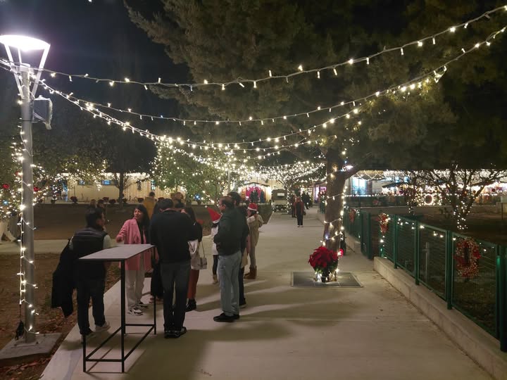 2025 a record year for German tourist arrivals