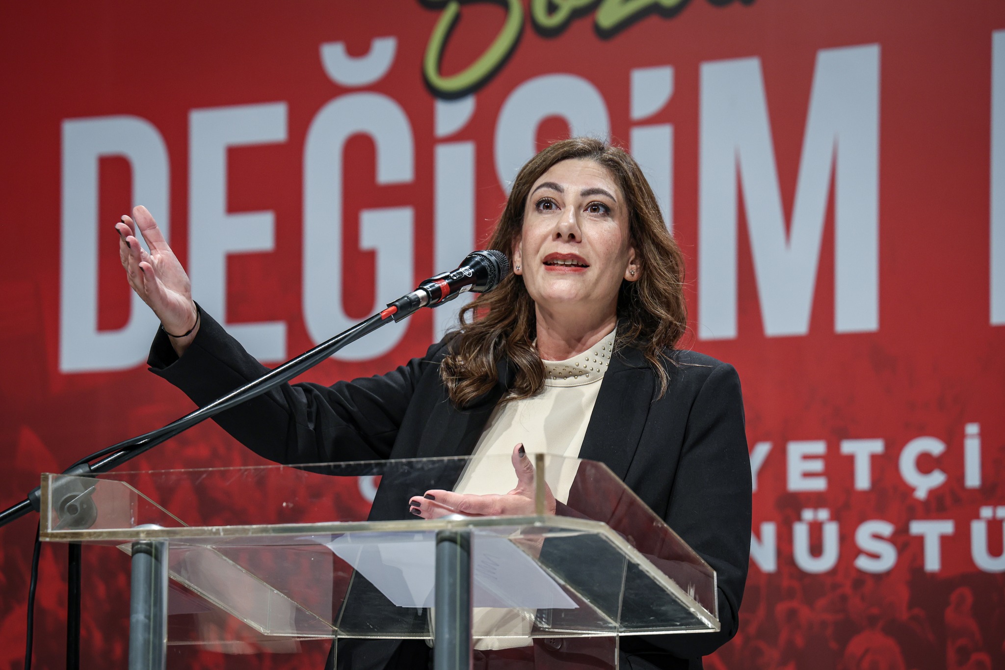 Turkish Cypriot opposition leader says early elections are ‘inevitable’