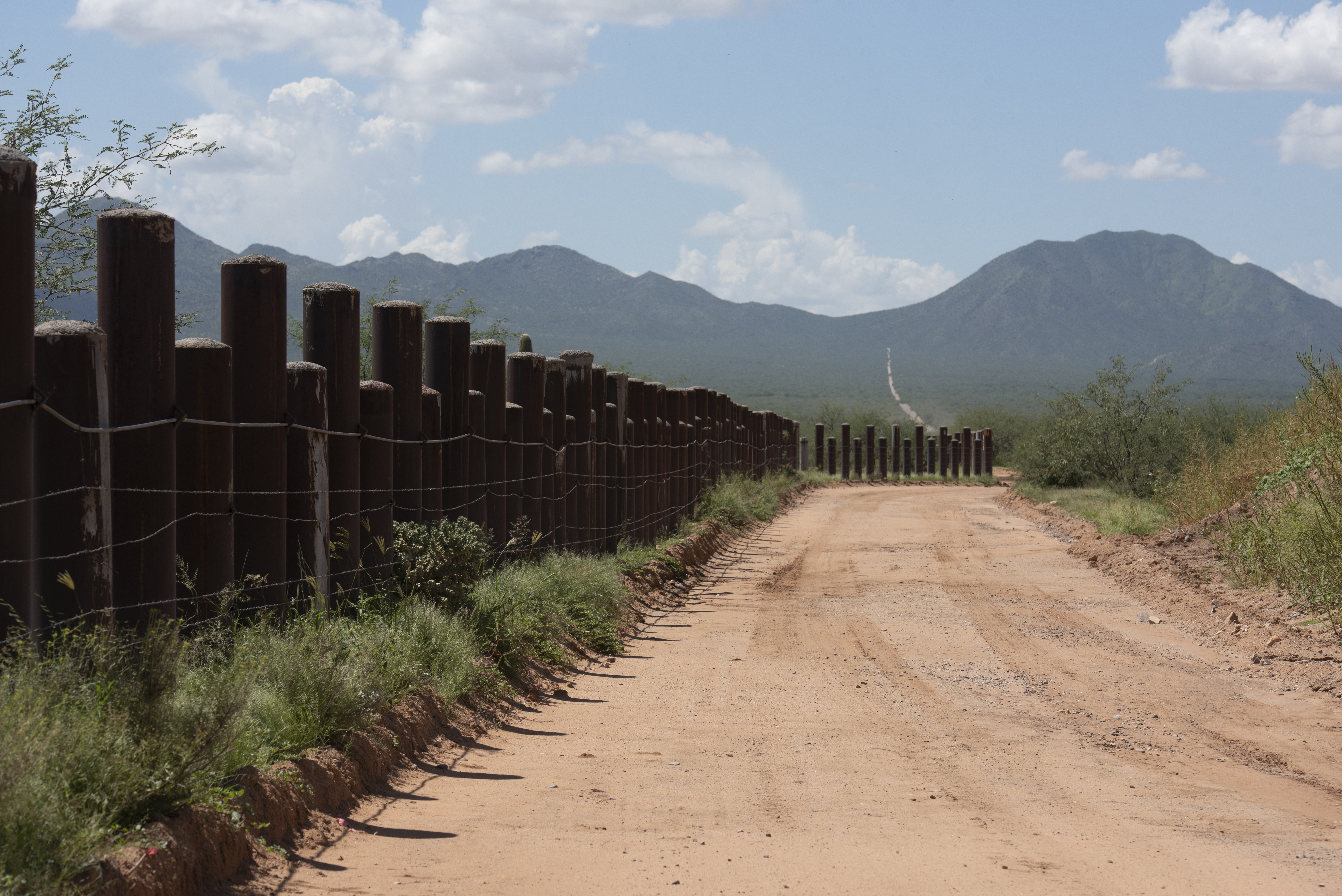 cover US Border Patrol involved in shooting in Arizona, county sheriff says