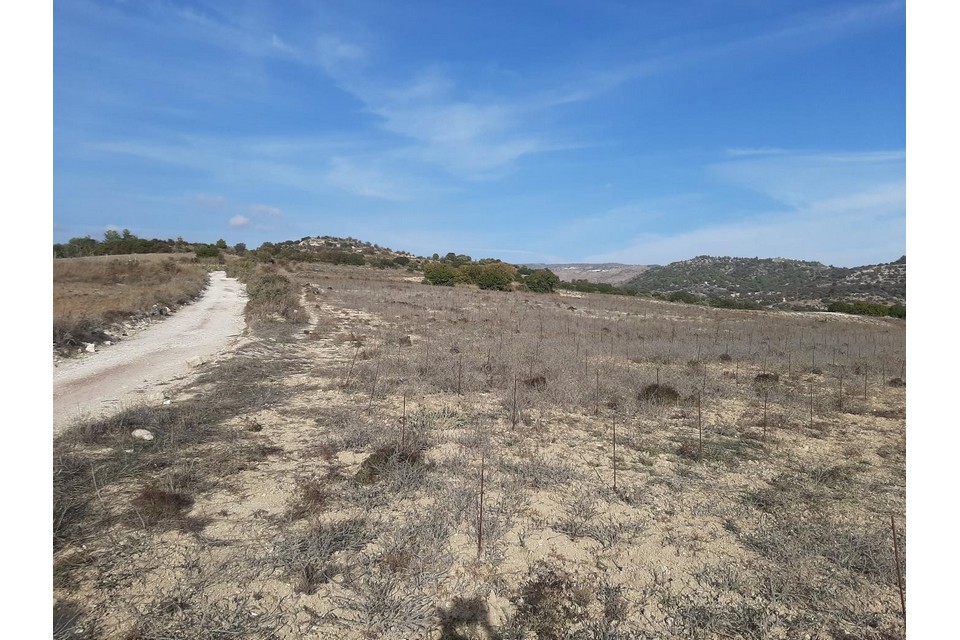 cover Bronze Age and medieval finds unearthed at Amargeti archaeological site