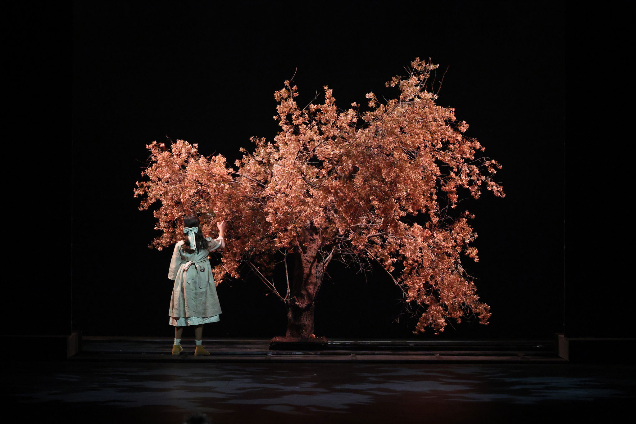 image Local artists take centre stage at EU council presidency opening