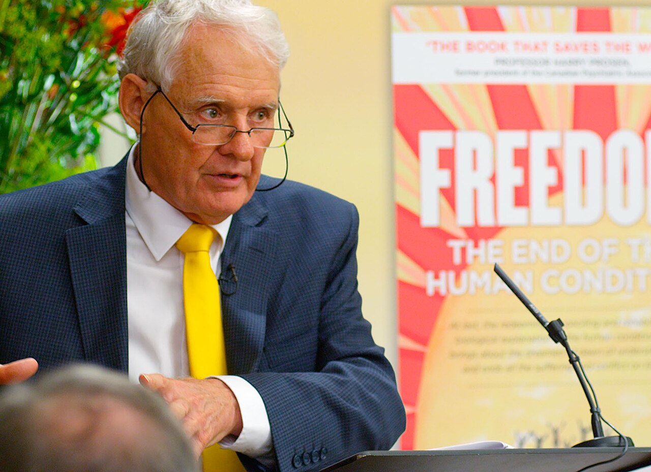 image From curiosity to coherence: How the world transformation movement is taking shape online