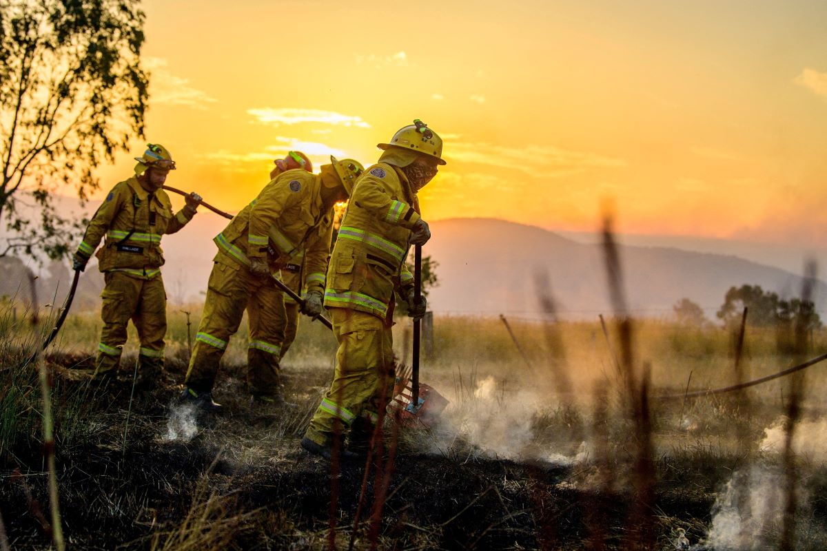 cover Human remains found amid Australia bushfires, police say