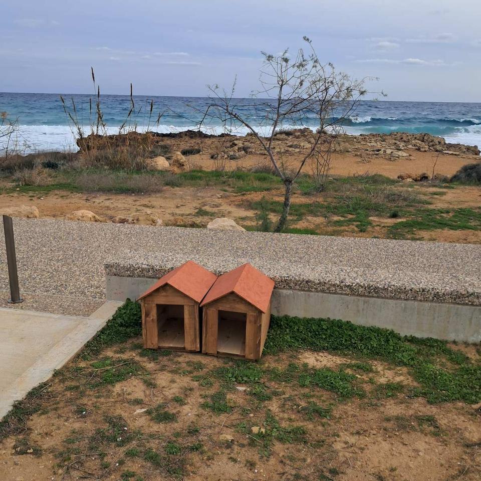 image Kennels for stray cats installed in Paralimni