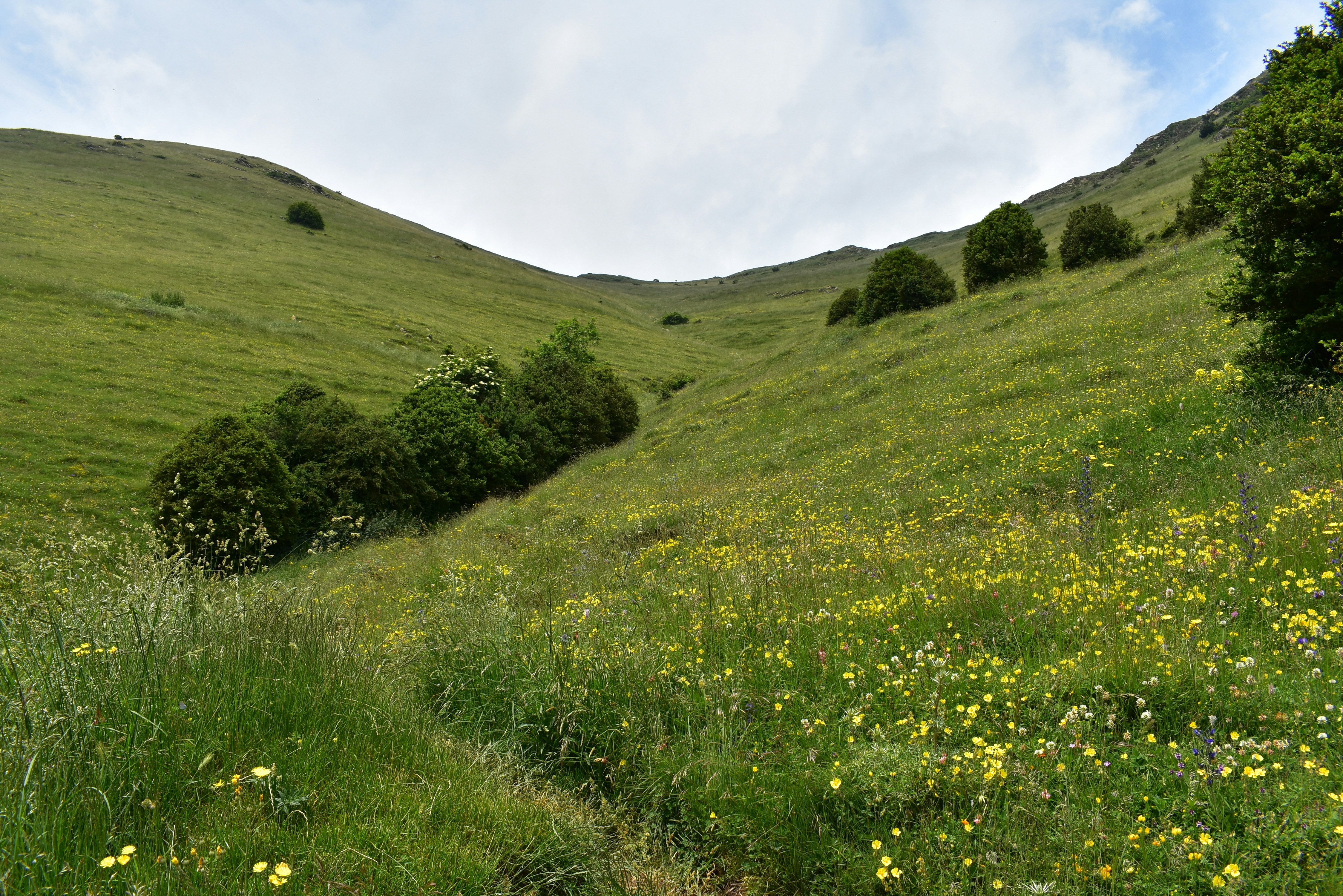 cover High mountain passes and technical sections in Pyrenean trekking