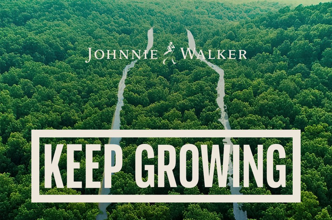 Keep growing – Diageo and Johnnie Walker Black Label are implementing a reforestation program in fire-affected areas in Cyprus