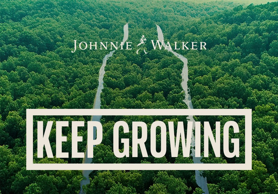 image Keep growing – Diageo and Johnnie Walker Black Label are implementing a reforestation program in fire-affected areas in Cyprus