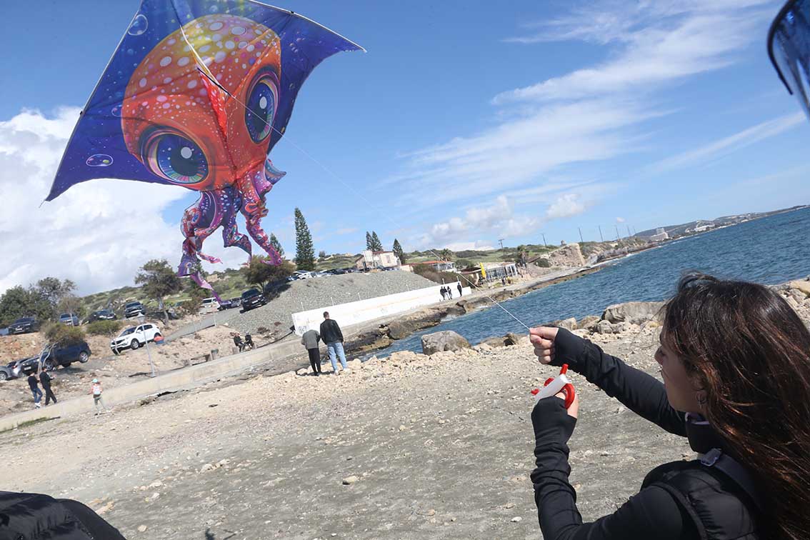 Green Monday, kite, kites, picnic, nature