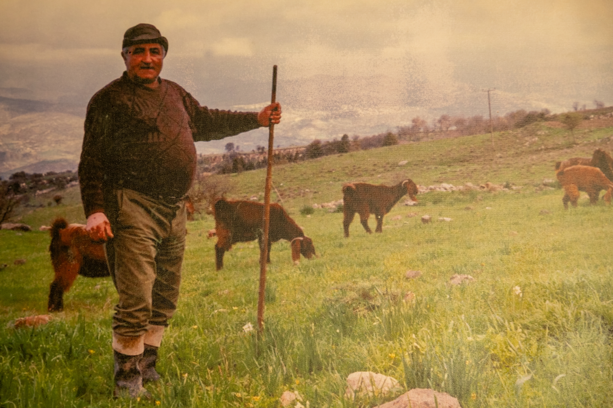 Artists and farmers meet at first PIKNIK event