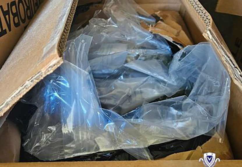 cover Two arrests in drug haul ‘not the masterminds’