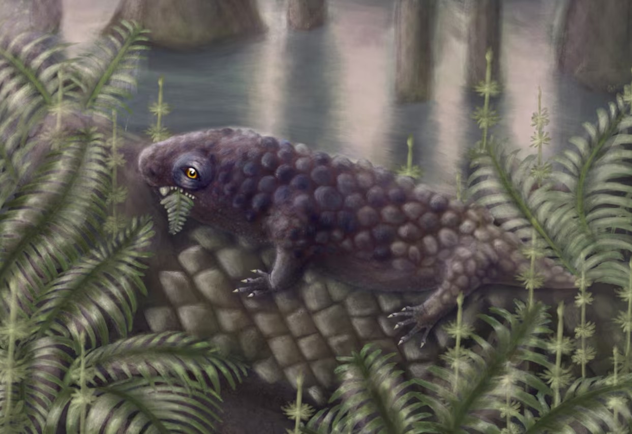Canadian fossil reveals one of the first plant-eating animals