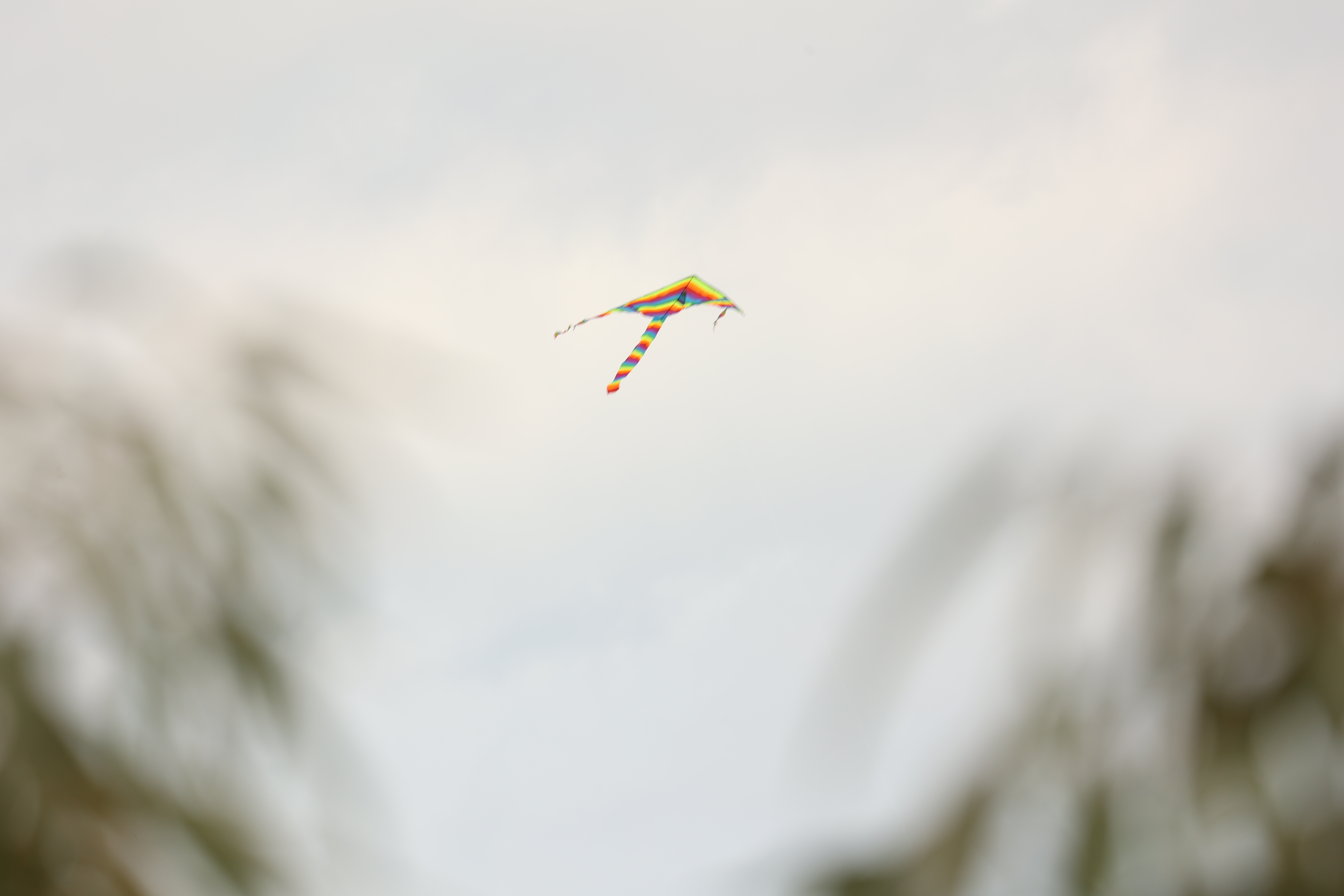 cover Kite flying and drones banned near Larnaca airport on Green Monday