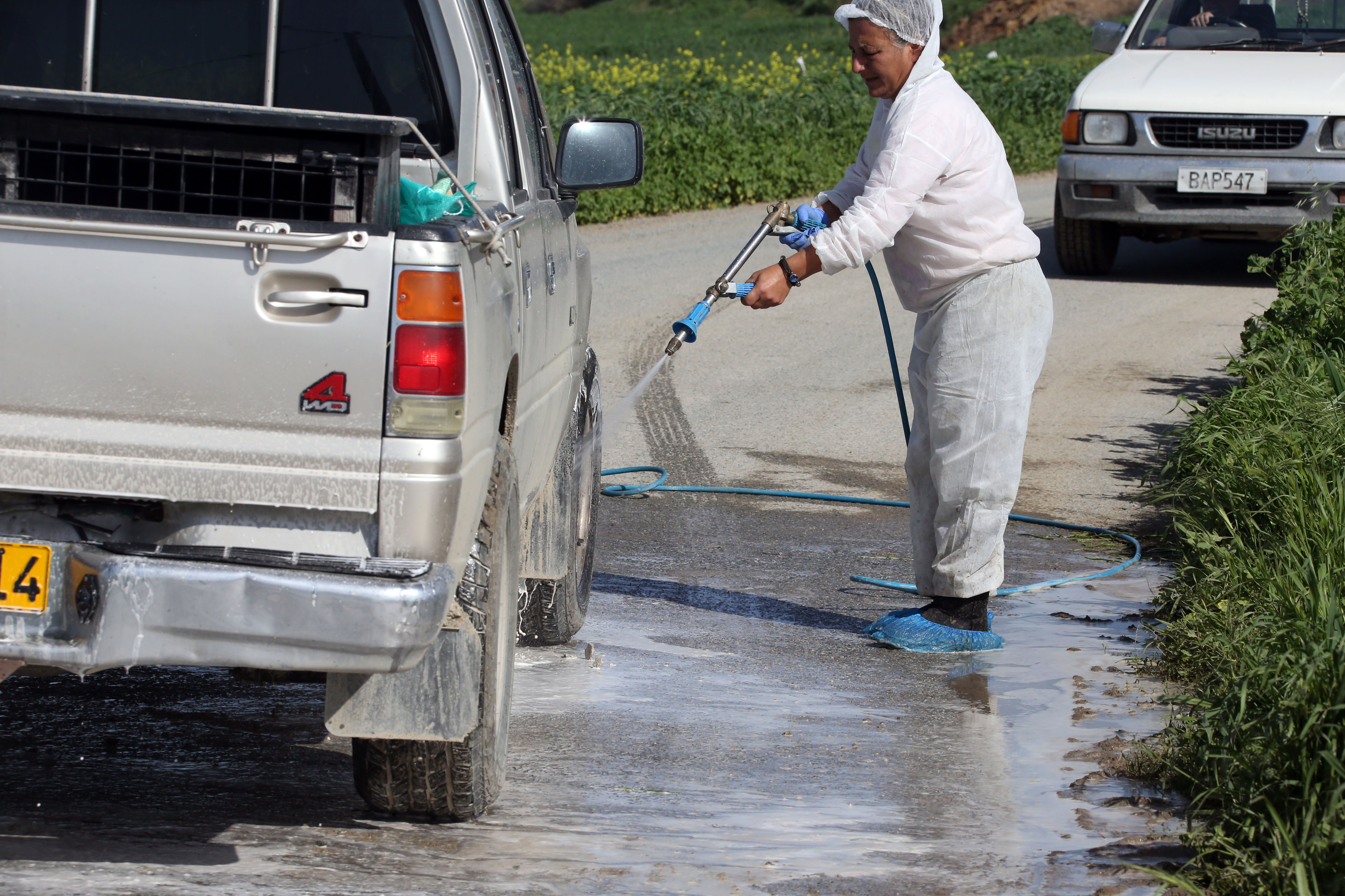 Foot-and-mouth outbreak triggers quarantine and mass culling in Larnaca