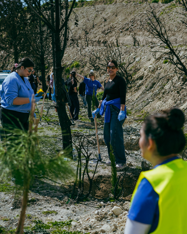 Rostro Group Plants 2,000 Trees in Vouni as Part of €100,000 Wildfire Recovery Commitment