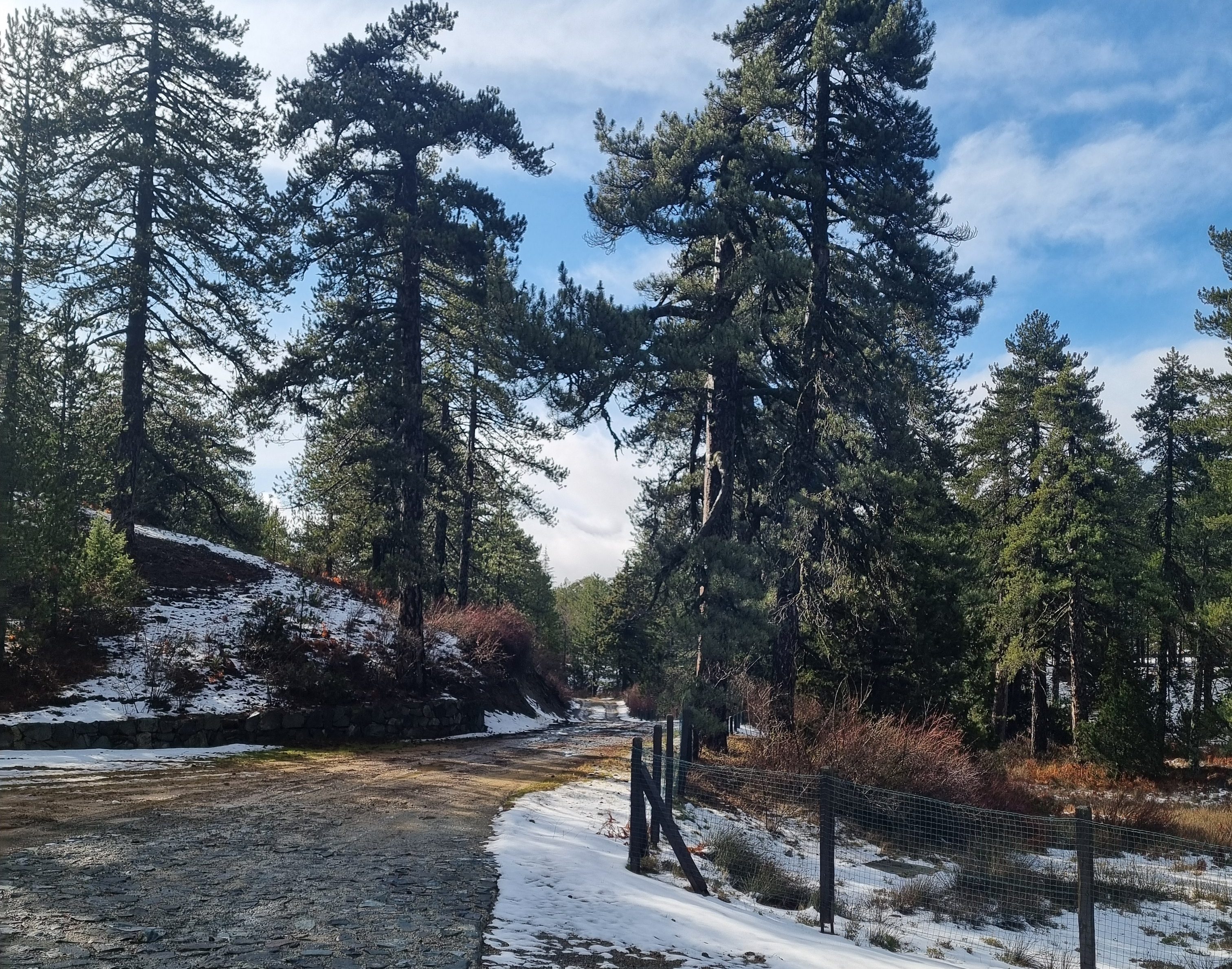 cover Today’s weather: Mild temperatures and isolated rain showers