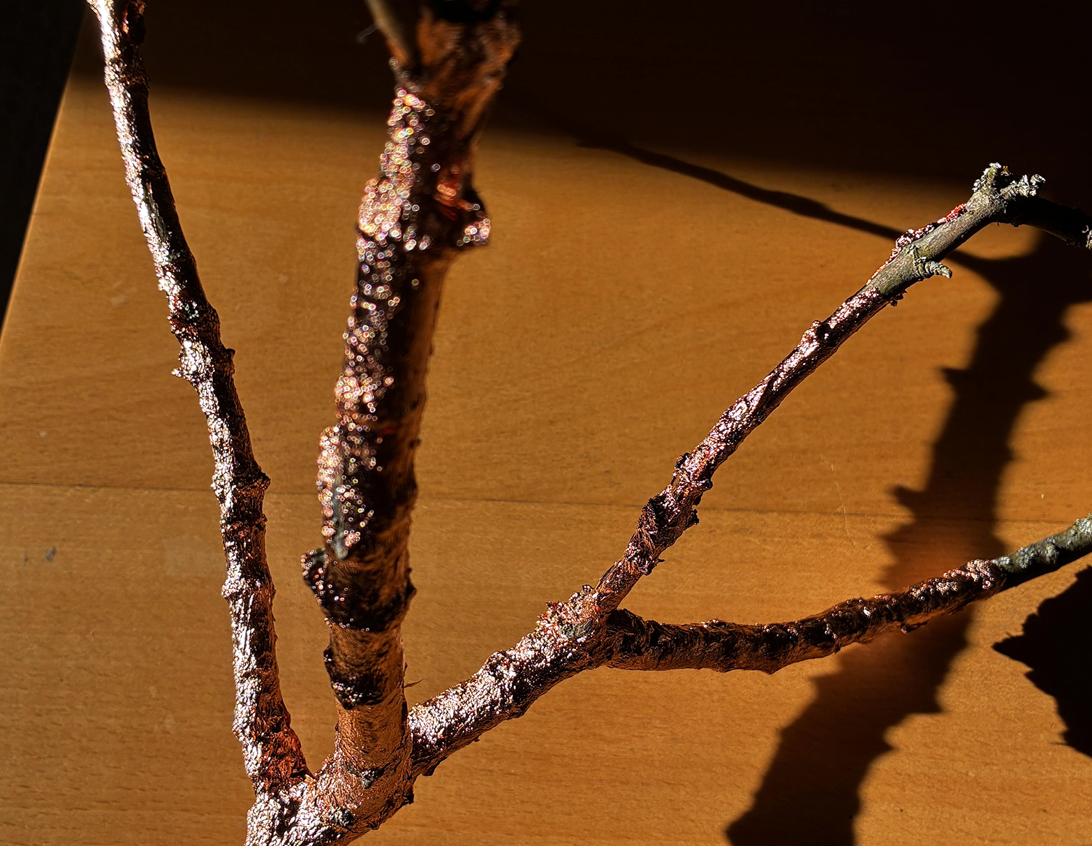 image Four university artists present a Limassol exhibition