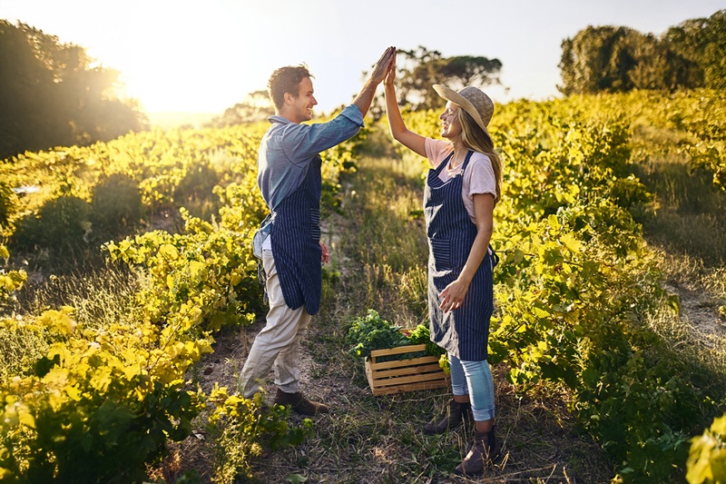 cover Lidl Cyprus 2024 Sustainability Report: persistent strategy, real footprint