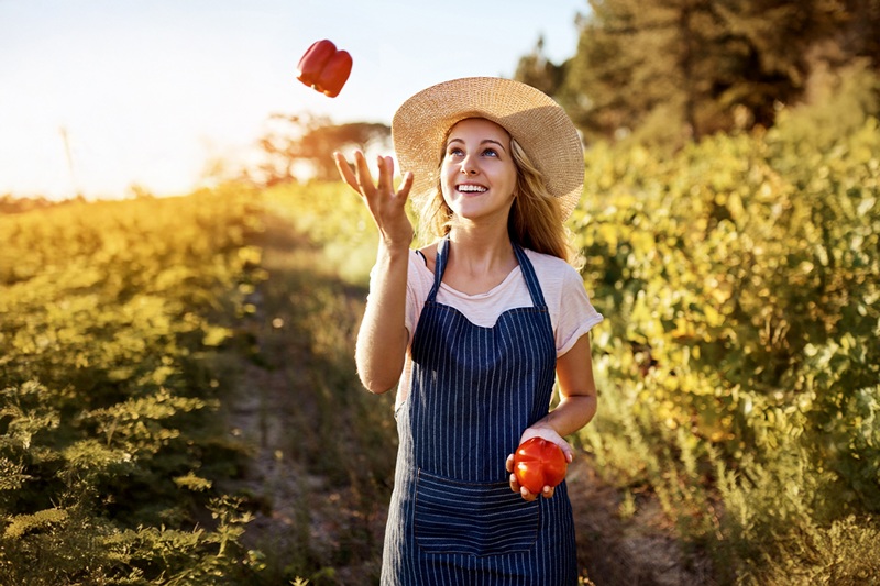 Lidl Cyprus' 2024 Sustainability Report highlights broad-ranging CSR goals