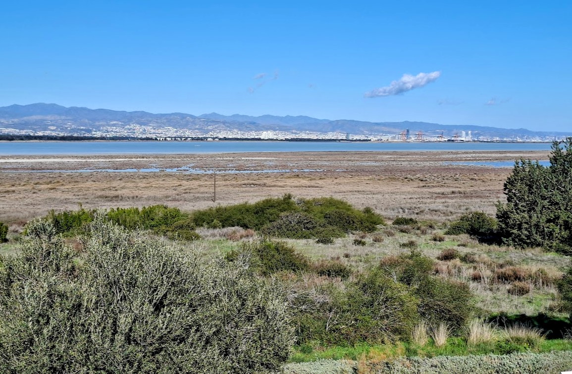 cover Plans for €10m Limassol aquarium move to preliminary inquiry stage