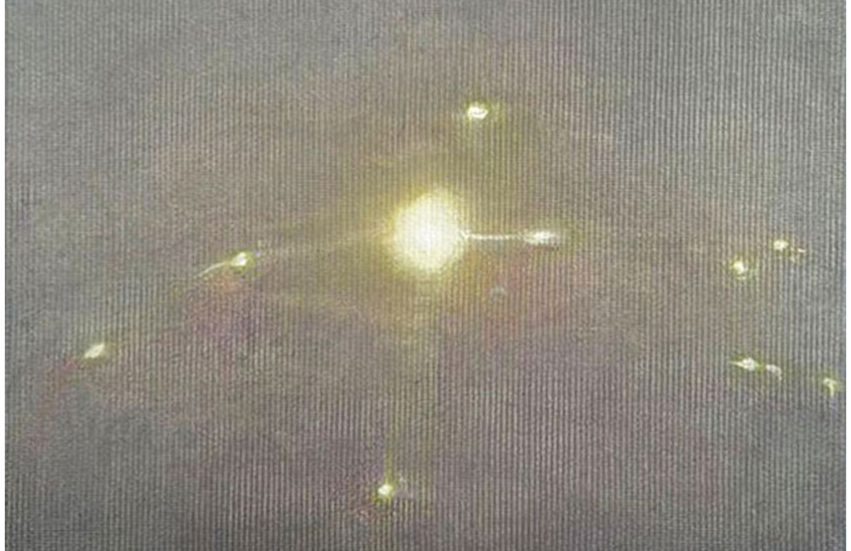 image Limassol exhibition looks at the rise of the sun