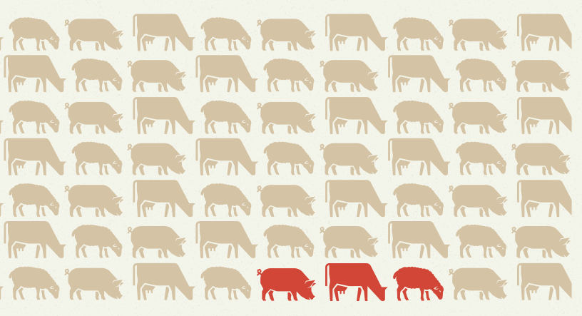 image Website on foot-and-mouth disease launched