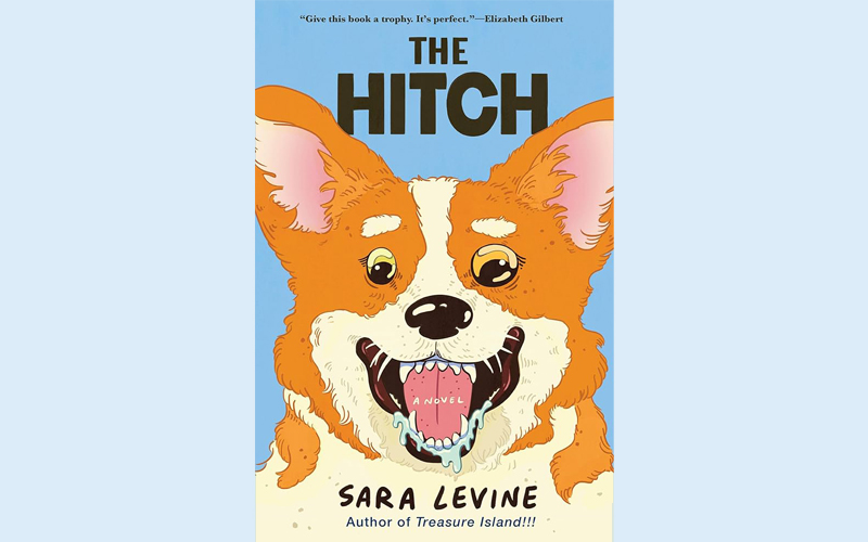 cover Book review: Mad premise for a hilarious book