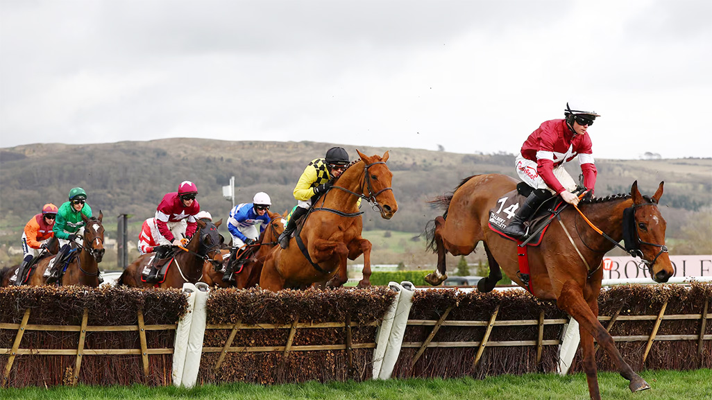 image Leading British horses line up for stellar first day as Cheltenham Festival begins 