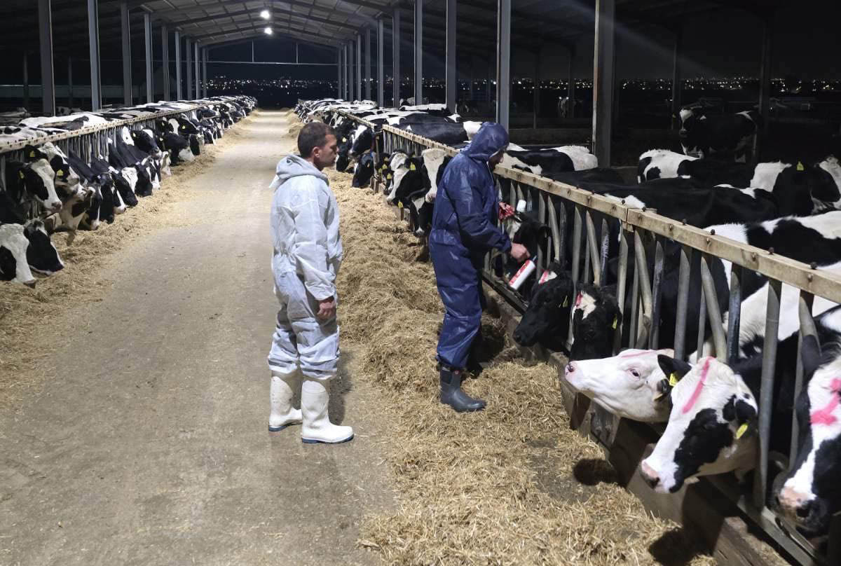 cover Two more incidences of foot and mouth diagnosed