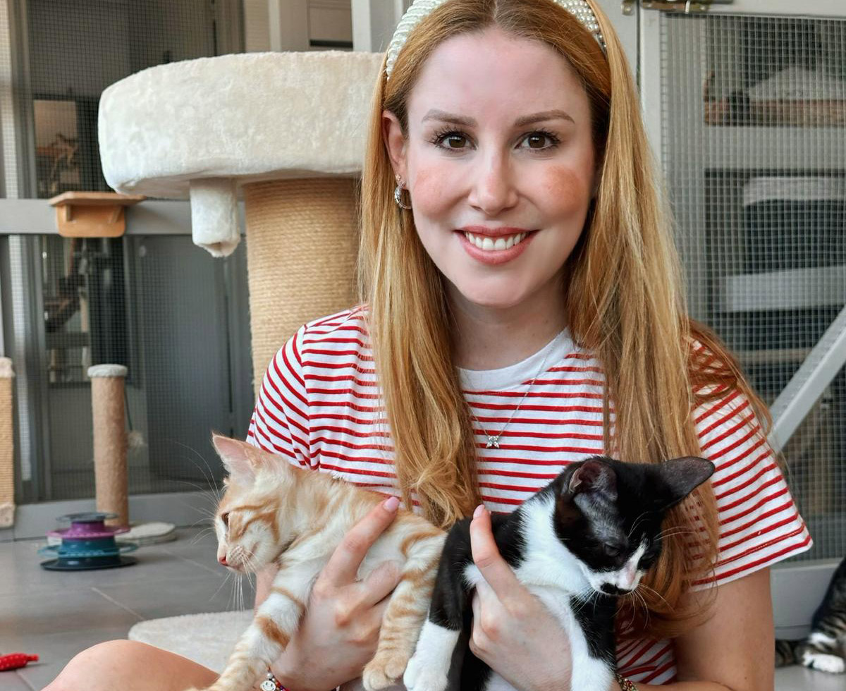 cover Cyprus is the land of cats