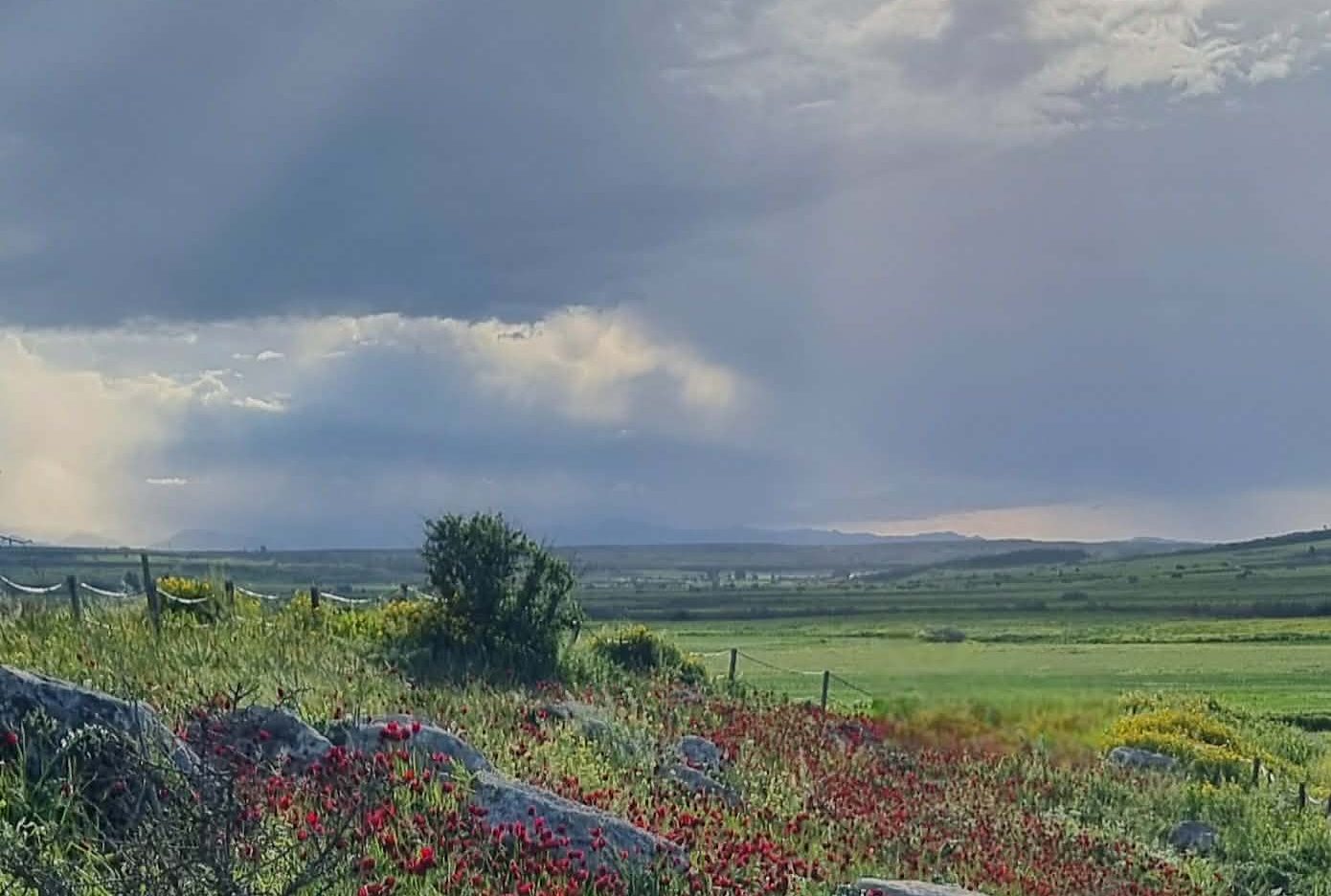 cover Today’s weather: Overcast with isolated rains