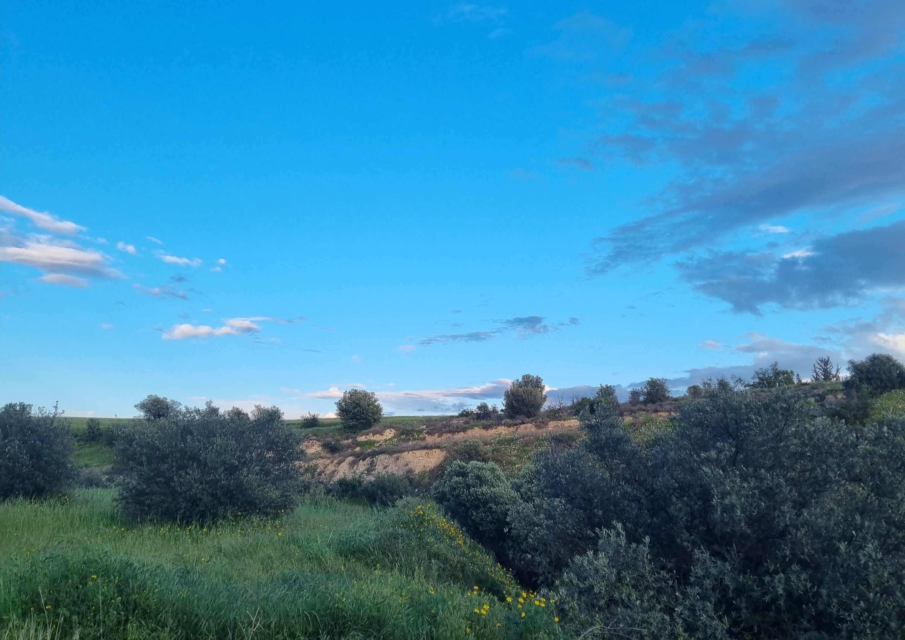 image Today’s weather: Mild temperatures, partly cloudy in the afternoon