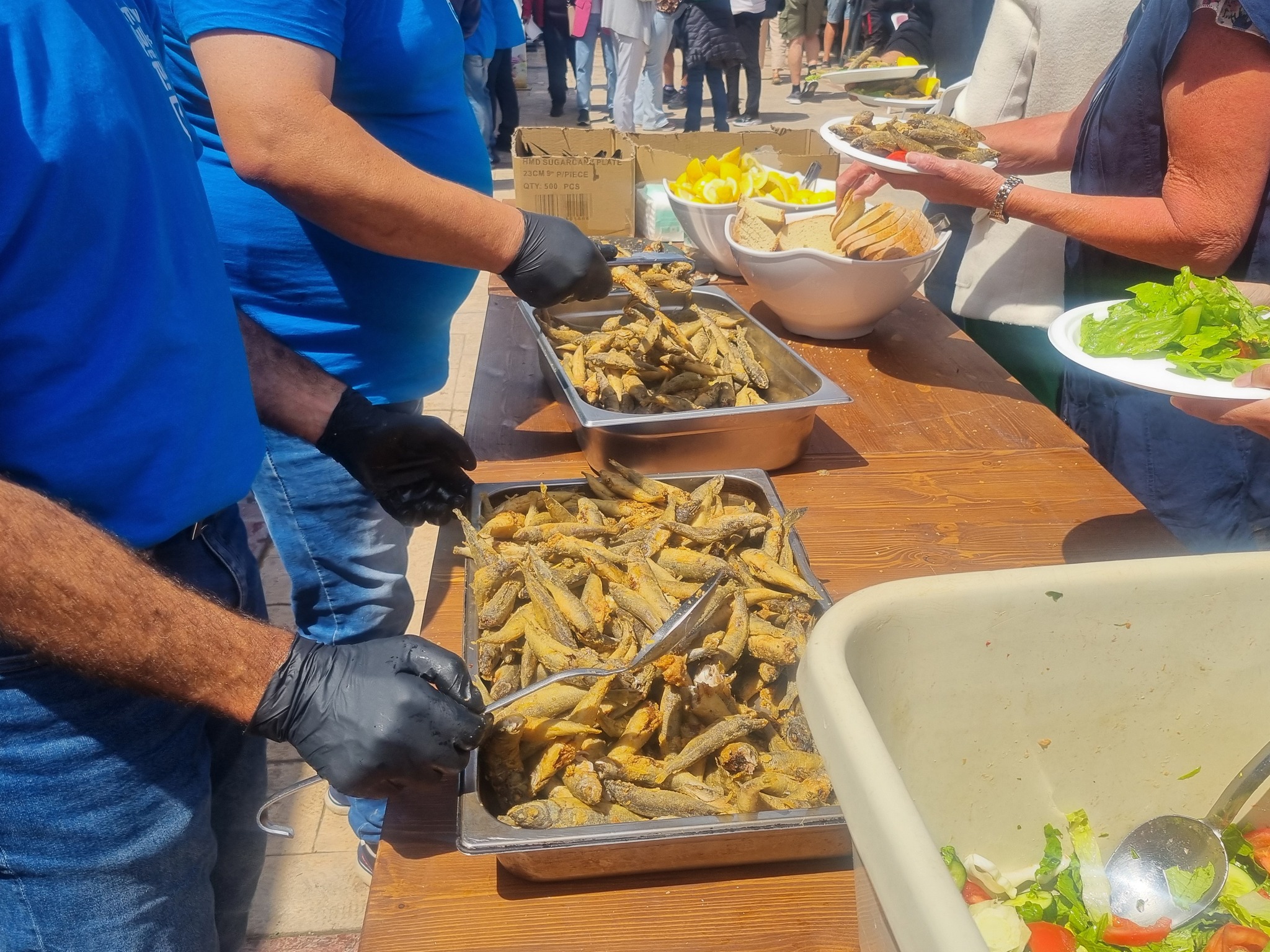 cover What to do at Fish Festival this weekend