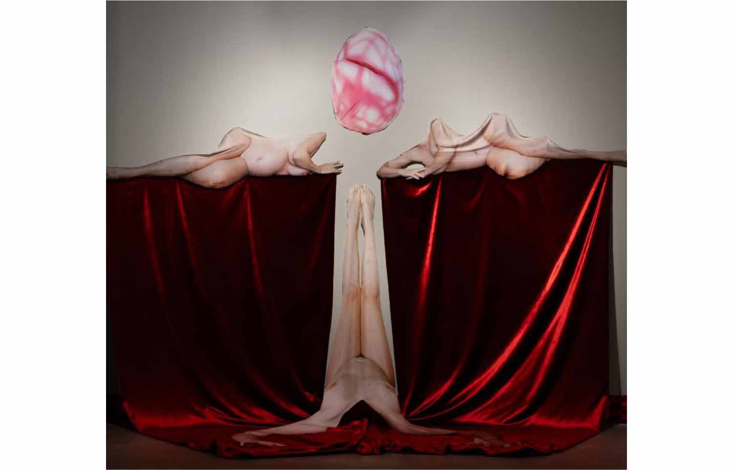 cover The lines that do not hold