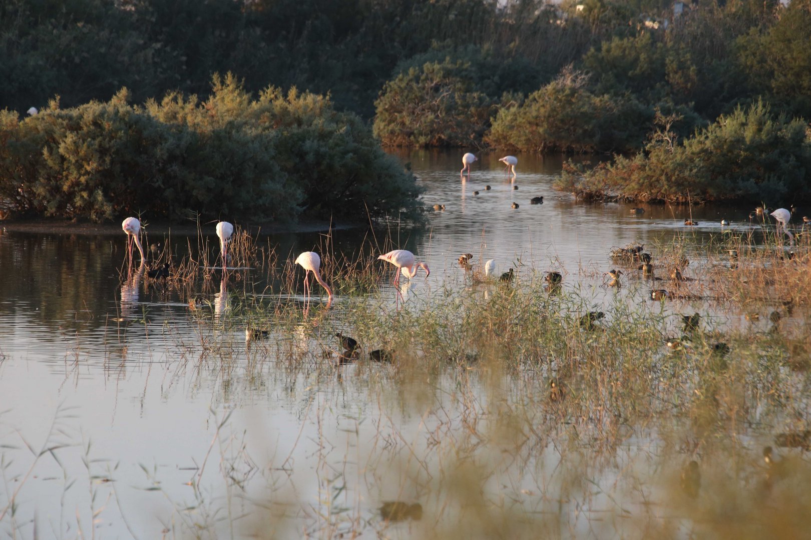 cover Water scarcity in Cyprus: how can we effectively manage the crisis?
