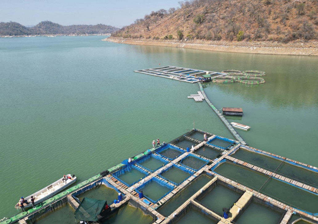 cover Cyprus contributes to EU aquaculture amid sector downturn