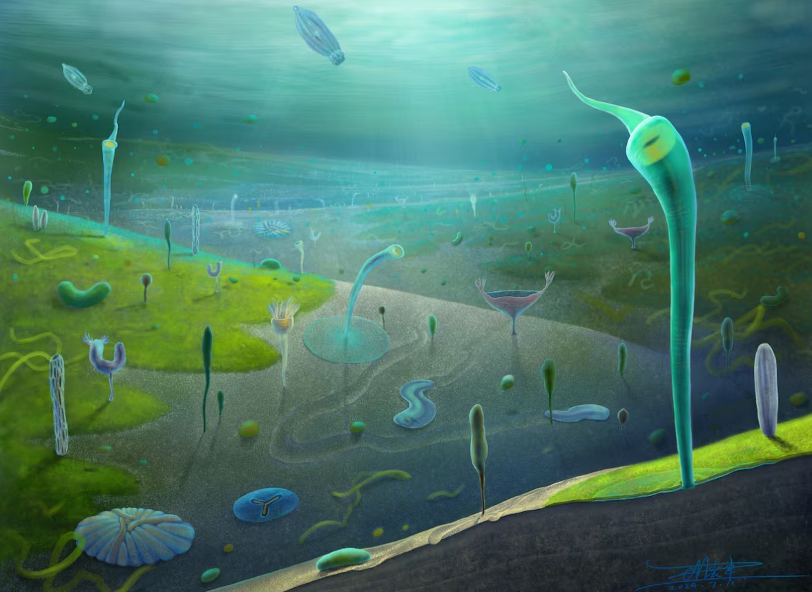 cover Chinese fossils reveal a primordial burst of animal evolution