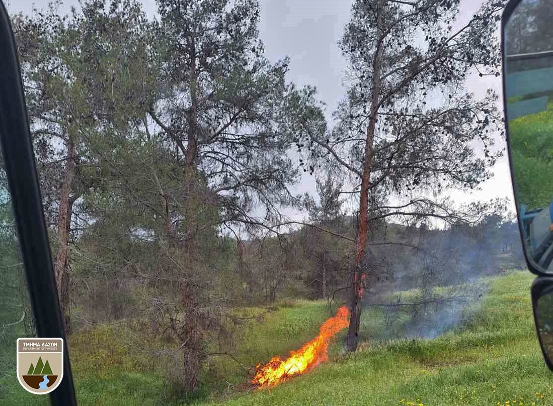 lightning, rain, forestry department, forest fire, lightning strike