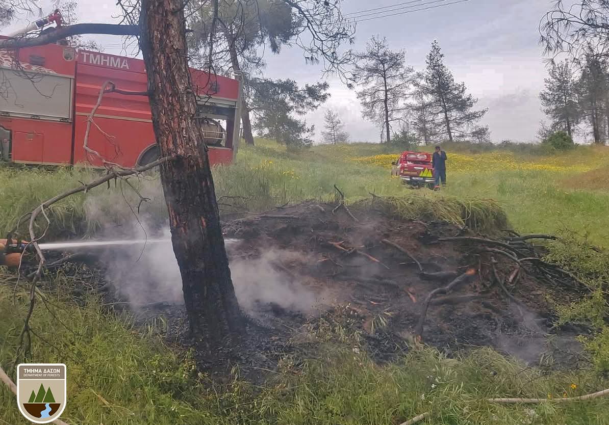 Forest fires sparked by lightning brought under control