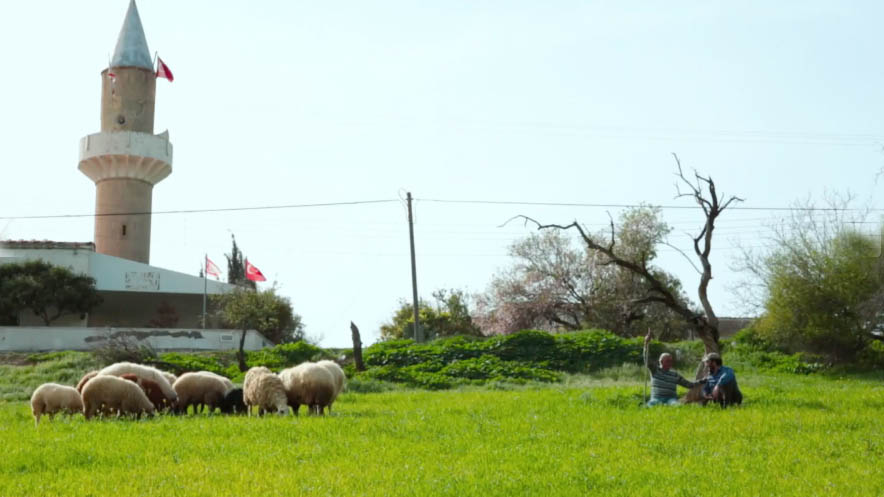 image Cypriot film &#8216;Sofoklis&#8217; to premiere online on checkpoint anniversary