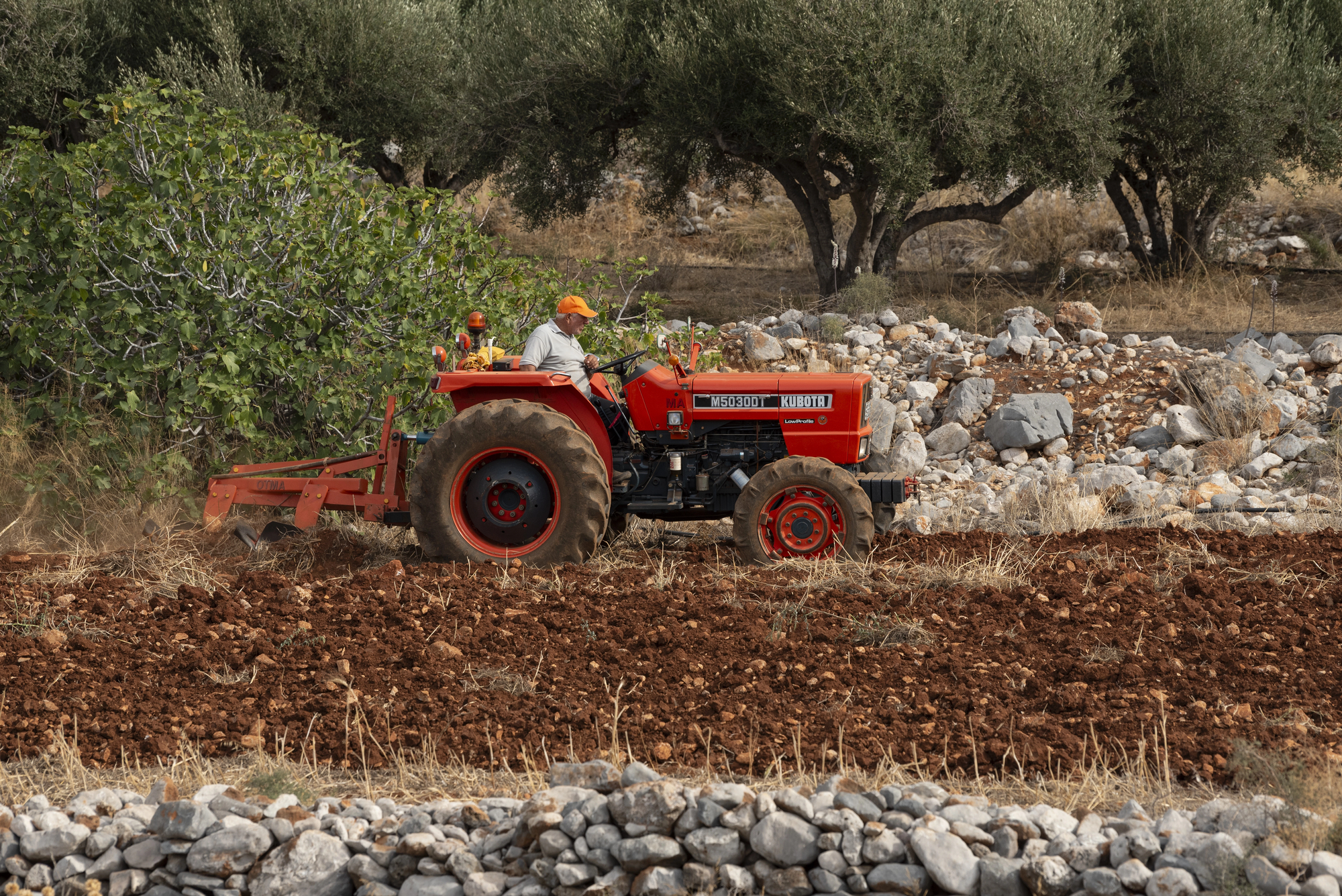 cover Greek police arrest 20 in Crete over suspected EU farm subsidies fraud