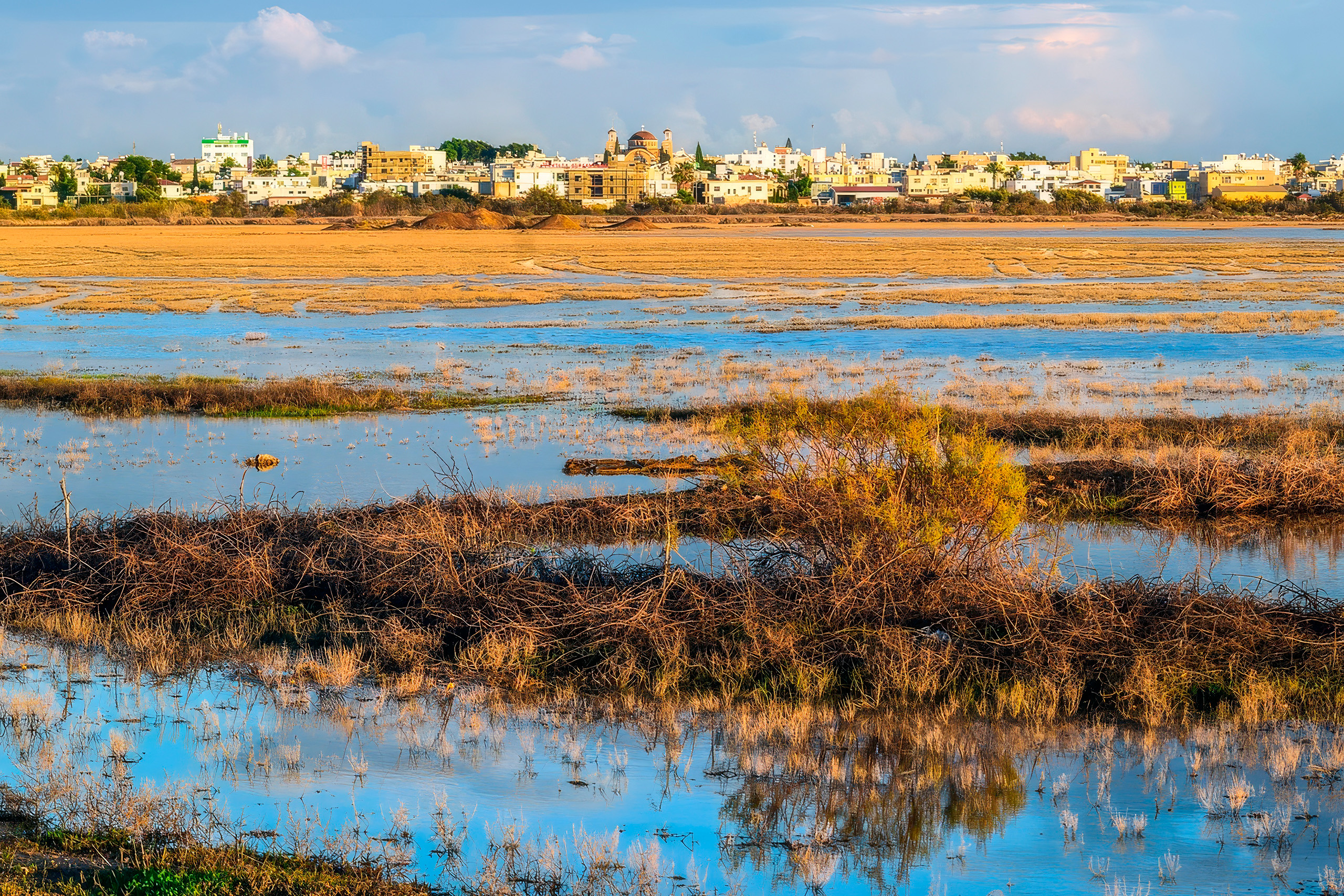 image Dozens of groups reject development plans at Famagusta port wetland