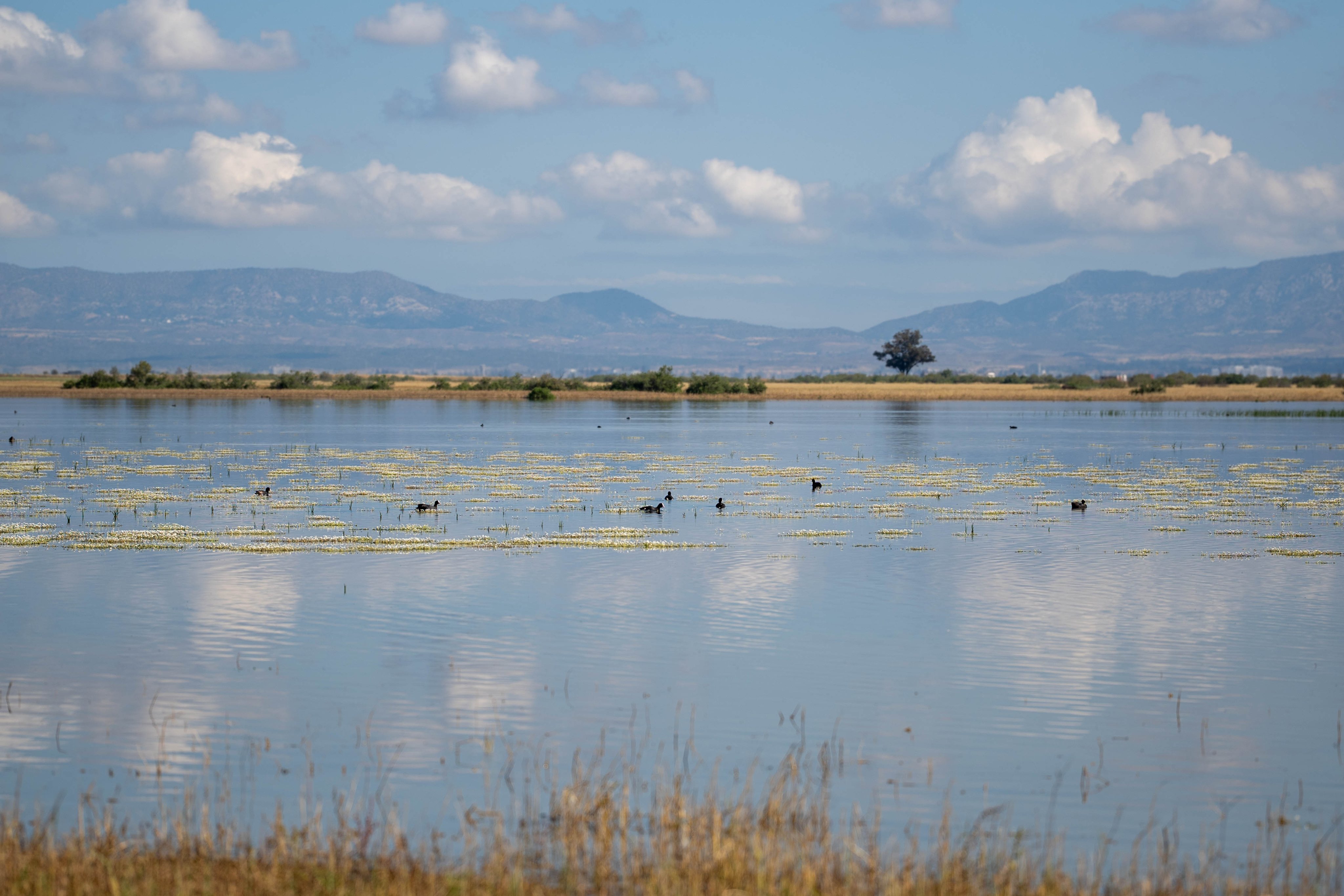UNDP, Kouklia, reservoir, environment